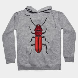 Red beetle Hoodie